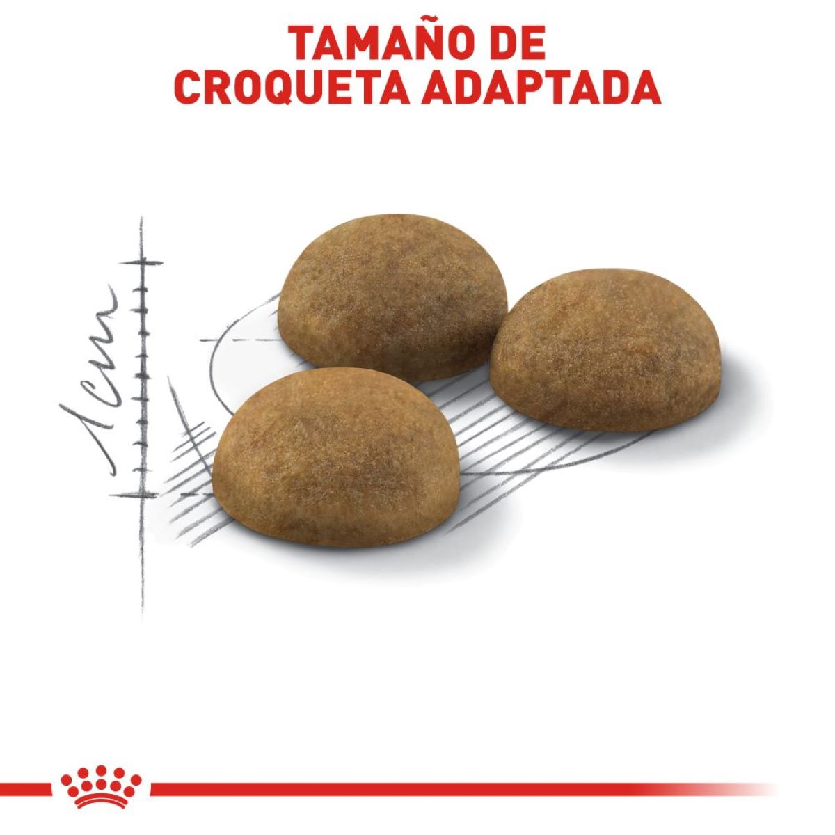 Royal Canin Indoor Cat Royal Canin Indoor Cat